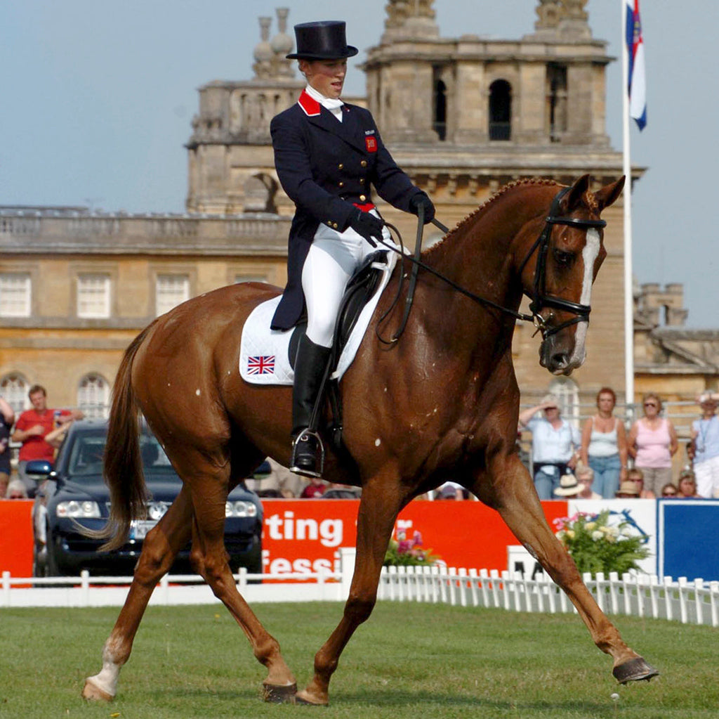 Buteless High Strength Solution