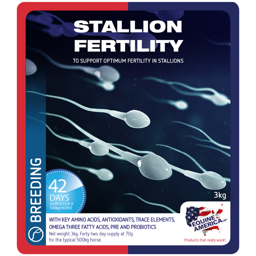 Total Fertility