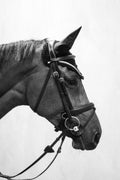 Navy ear bonnet sound proof