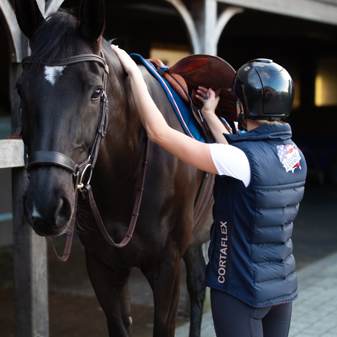 Equine America Mens All Season Gilet