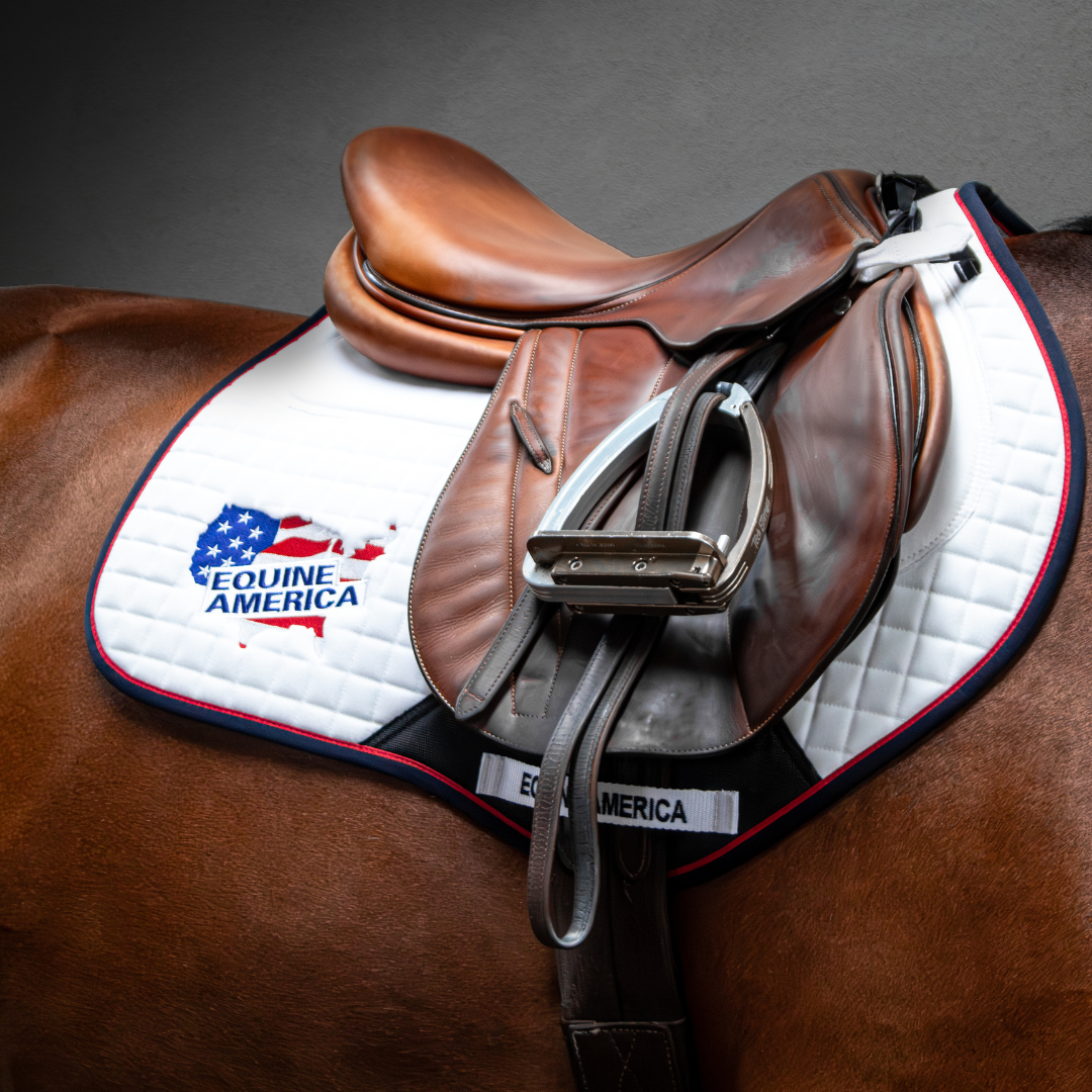Equine America Jumping Saddle Cloth